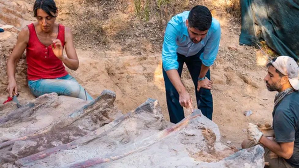Палеонтологи раскапывают скелет