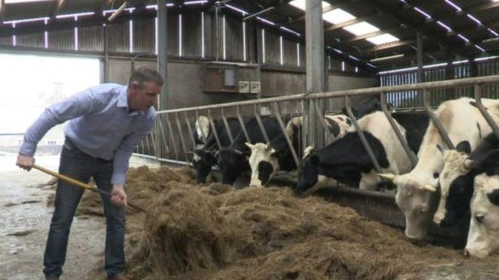 Ian Marshall on his farm with cows