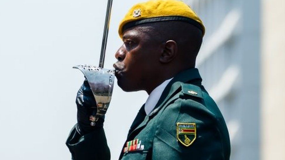 A member of the presidential guard stands at attention as Zimbabwe"s president arrives to review the guard of honour ahead of delivering his inaugural address at the parliament in Harare, September 18, 2018. - Emmerson Mnangagwa gave his first state of the nation address following the July elections which the opposition claims to have won.