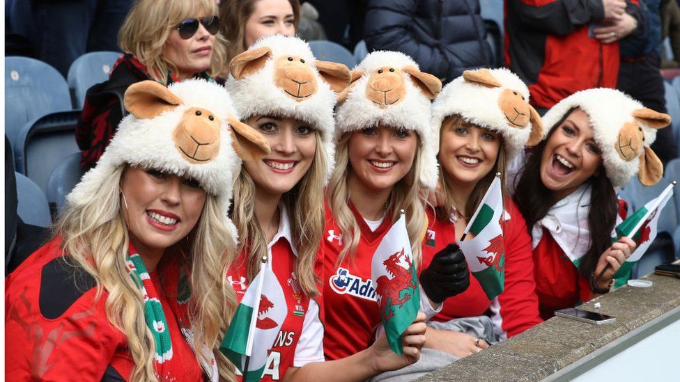 Welsh rugby fans at a Six Nations Match between Scotland and Wales