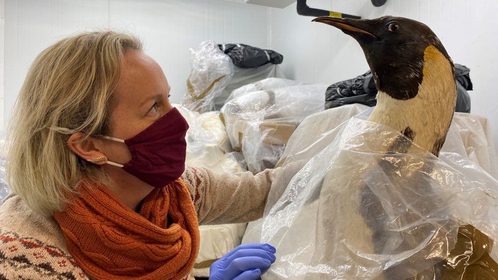 Curator Clare Brown with the stuffed penguin