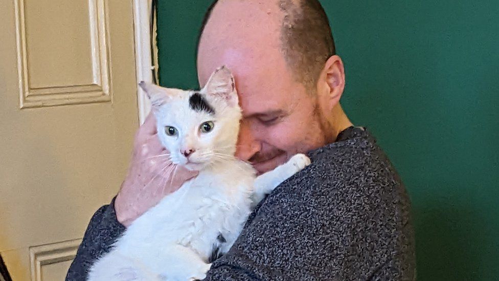 Missing York cat reunited with owners after 10 years BBC News