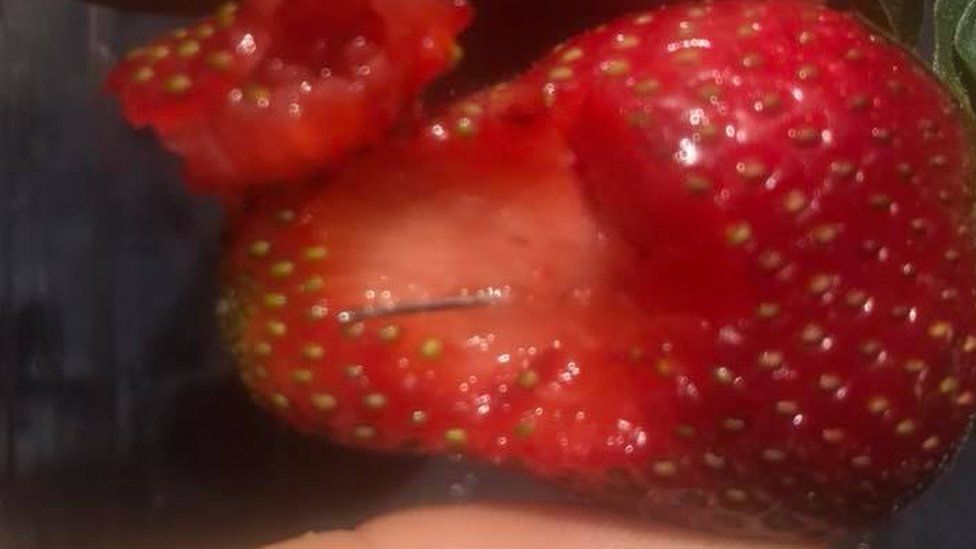 A needle through the centre of an affected strawberry