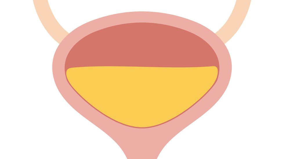 el orgasmo prostático se parece a la orina