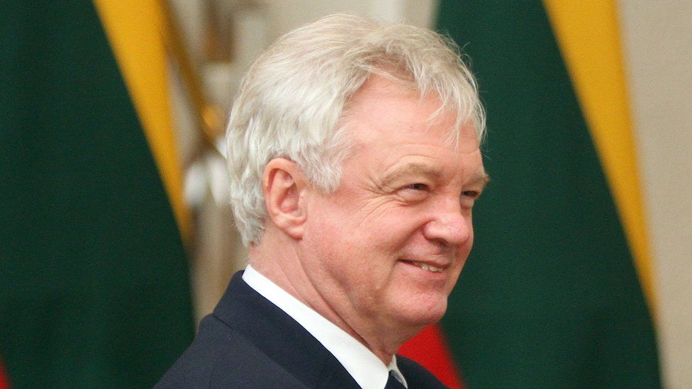 British Secretary of State for Exiting the European Union (Brexit Minister) David Davis