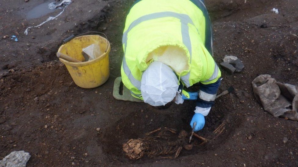 An archaeologist examines human remains