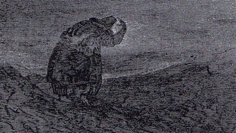 An illustration depicting a Welsh witch, also known as a Gwrach
