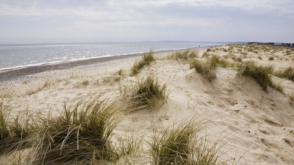 The beach and sand dunes in Walberswick, Suffolk.