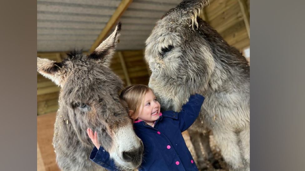 Amy's daughter with the two donkeys