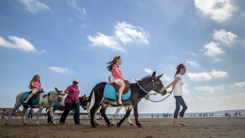 A donkey ride on Scarborough beach