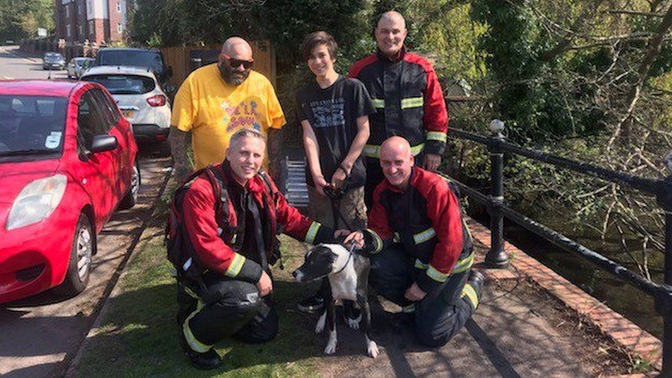 The fire crew with the dog after the rescue