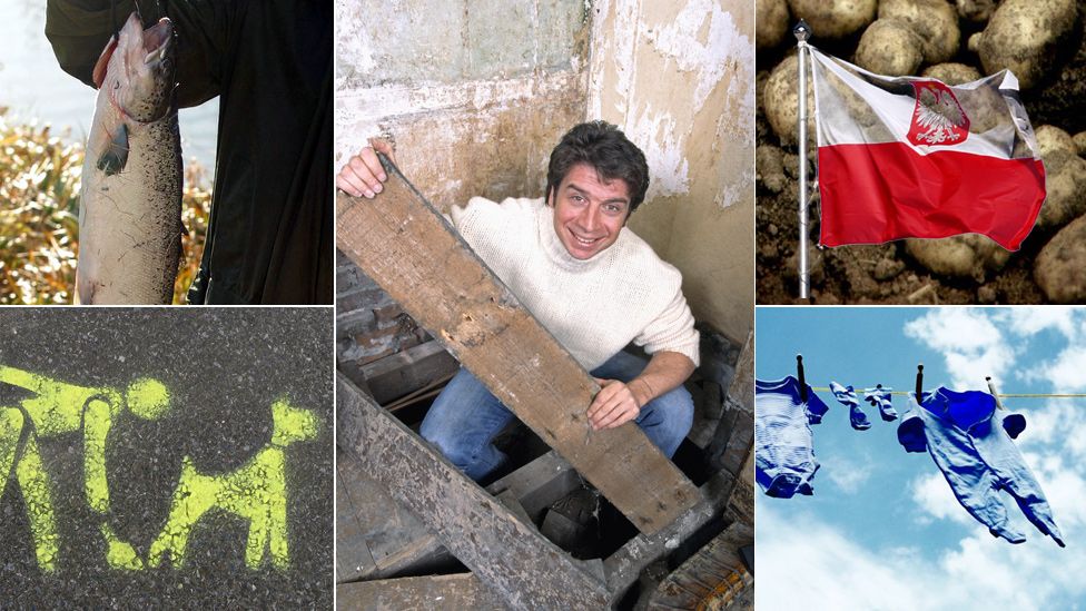 Odd laws you may unknowingly break - BBC News