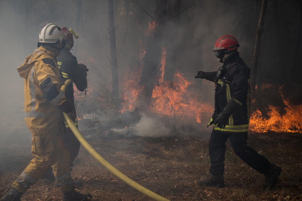 Пламя, впервые замеченное Эскутией сожгли более 14 000 акров леса.