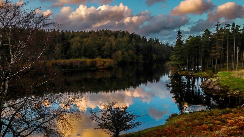 Tarn Hows in the Lake District National Park