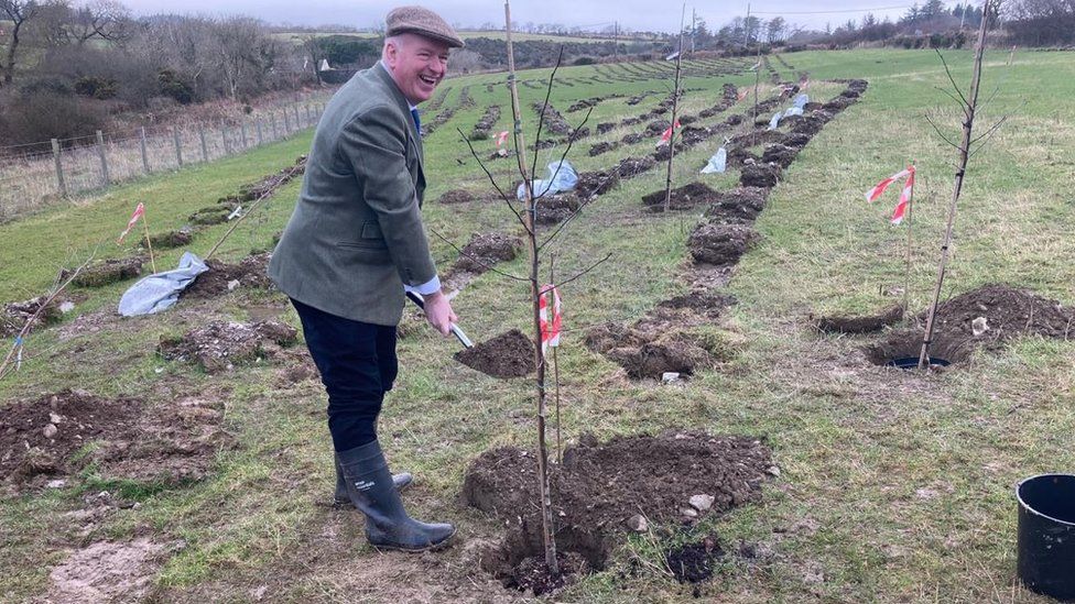 Howard Quayle planting a tree