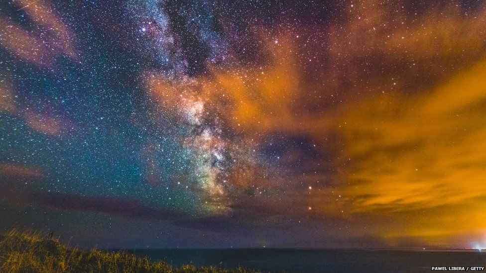 Why are bugs attracted to light? BBC Newsround