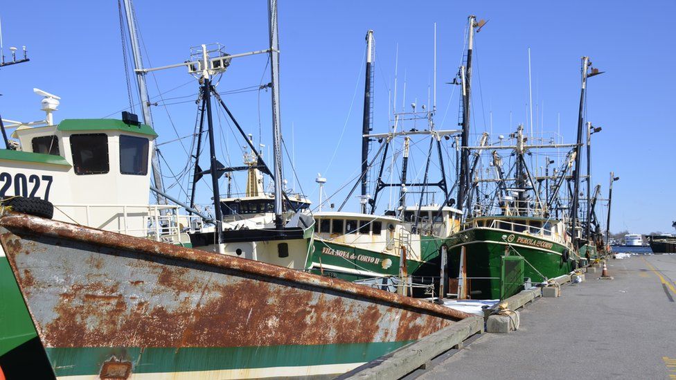 Several fishing boats are shown tied to a long dock