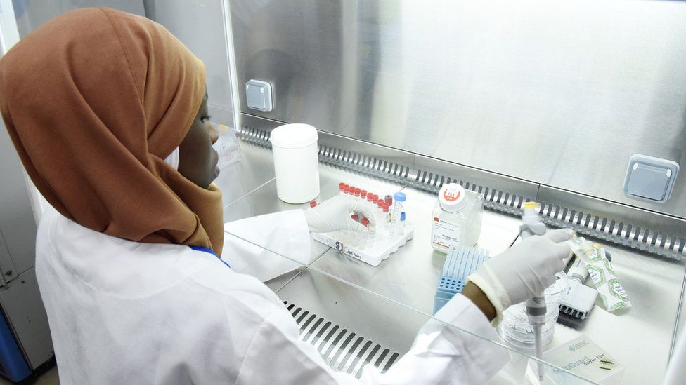 A member of staff works in a laboratory