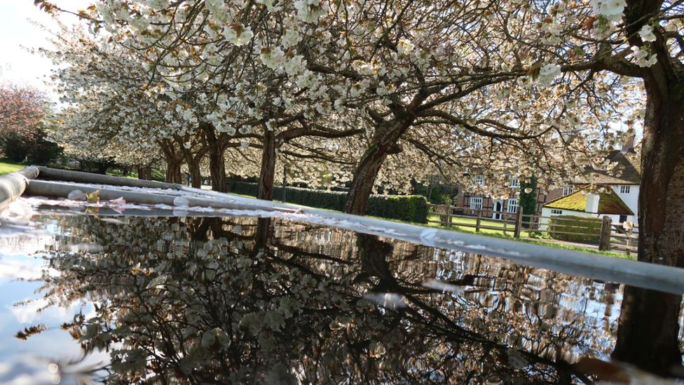 Weather Watcher Yen Milne captured these trees reflected in the water in Fareham