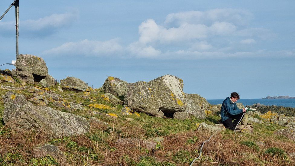 Puffin cameras being set up