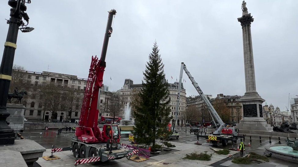 A hydraulic crane next to a Christmas tree