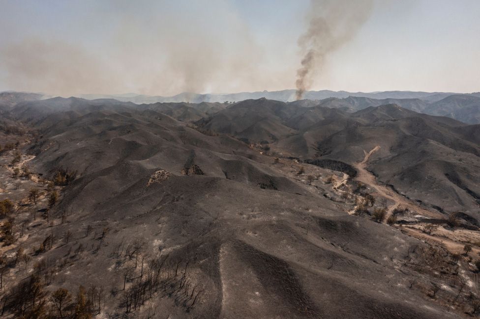 An aerial view shows a burnt area after a fire near Vati, on the Greek Aegean island of Rhodes