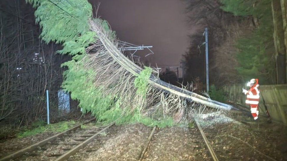 A tree caused damaged to overhead rail power lines in Gartcosh in North Lanarkshire