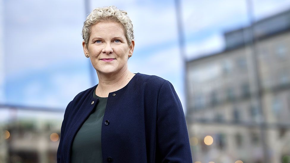 Politician Karin Wanngård