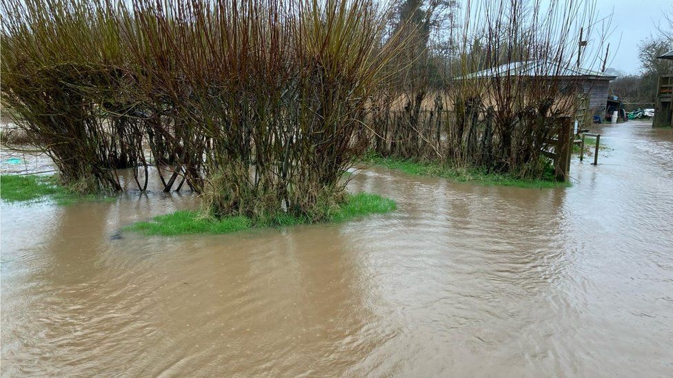 Flooding at Seaton Wetlands nature reserve