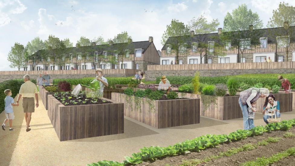 design drawing of community allotment