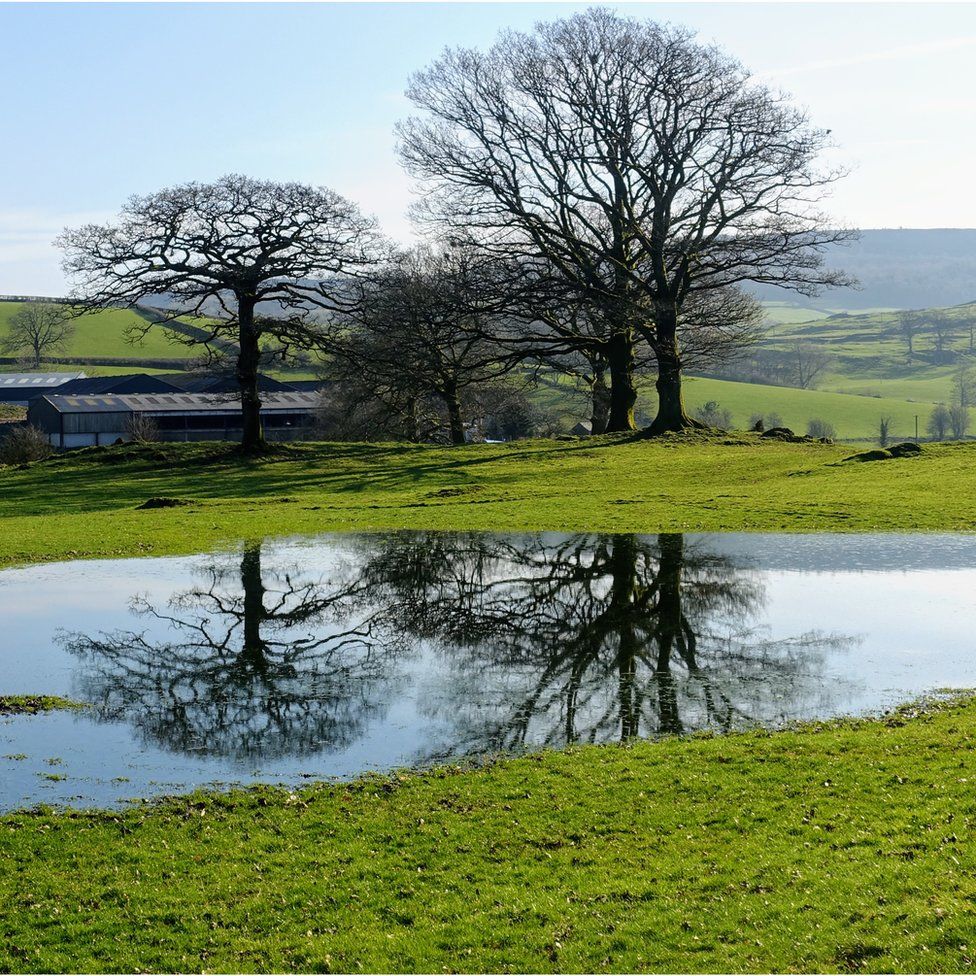 Trees reflected in water near the village of Underbarrow in Cumbria