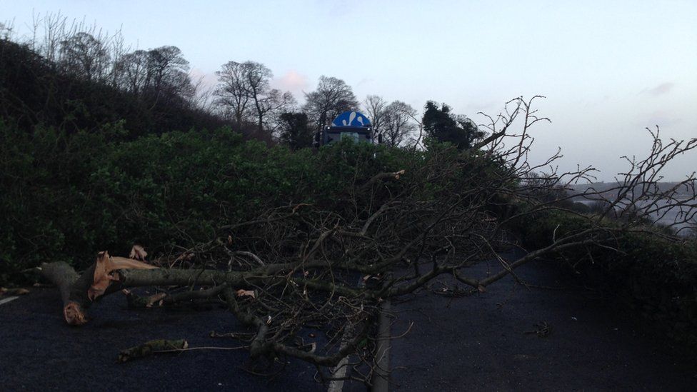The Old Letterkenny Road in Derry is also closed because of a fallen tree