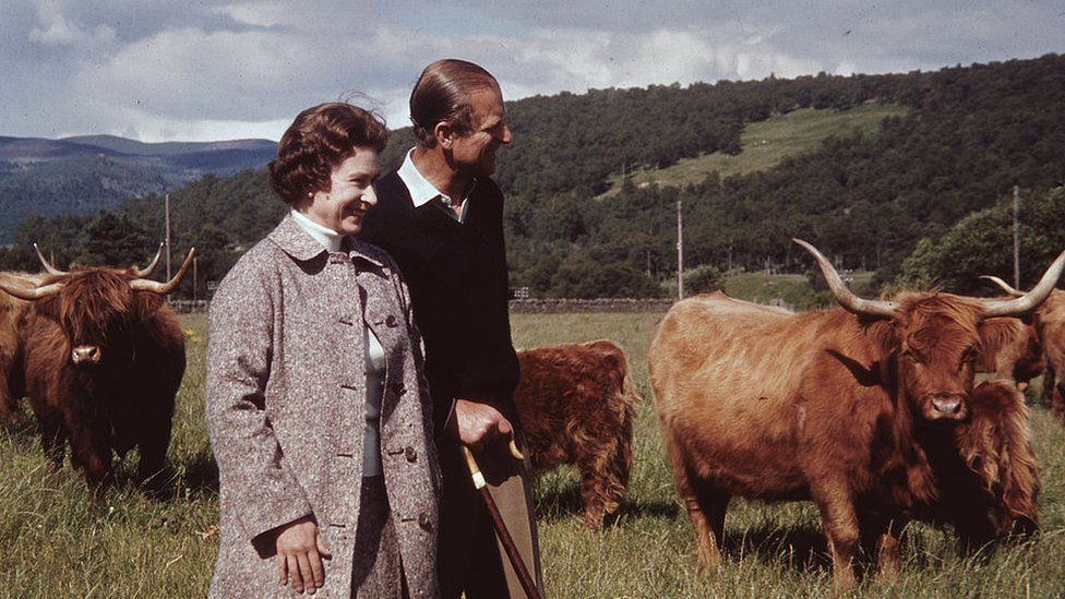 Queen Elizabeth and Prince Philip in a field with some Highland cattle at Balmoral in 1972