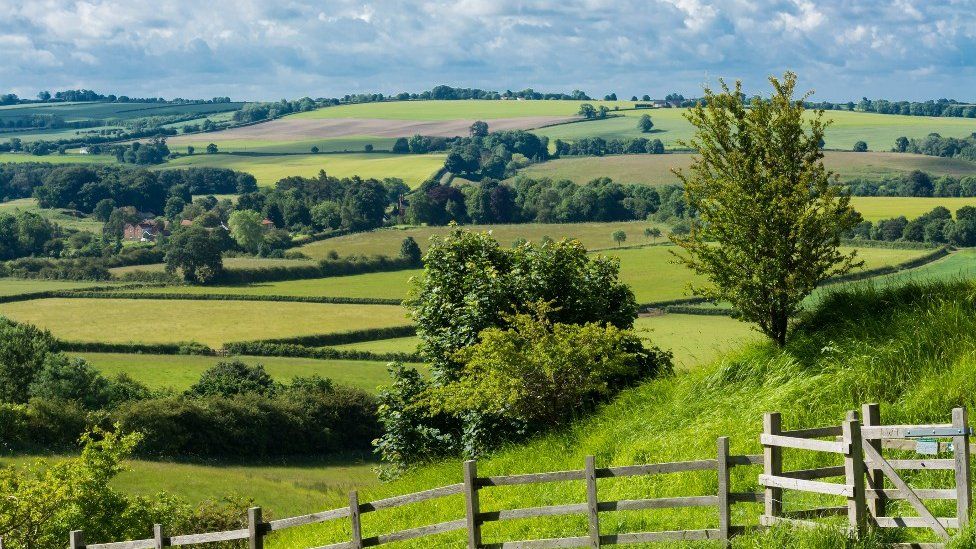 Lincolnshire Wolds: Celebrating 50 years of AONB status - BBC News