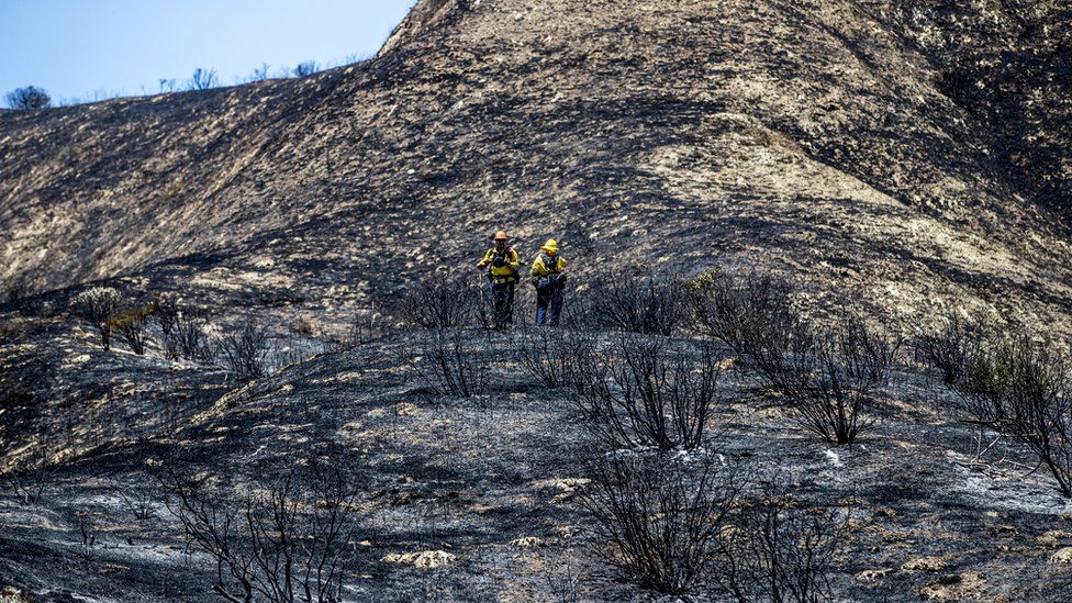 Firefighters check for hotspots on the scorched landscape after the Rabbit fire burned through