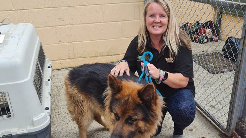 Lorraine Edwards with a rescued dog.