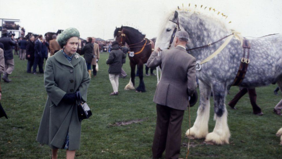 Queen Elizabeth II during a visit to centenary show of National Shire Horses Society , Peterborough