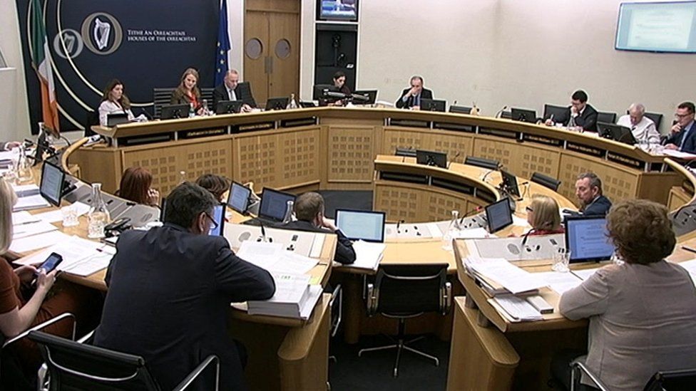 Oireachtas committee