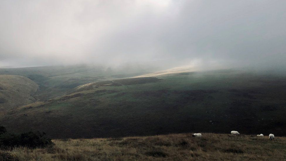 A view across Dartmoor near Meldon Reservoir