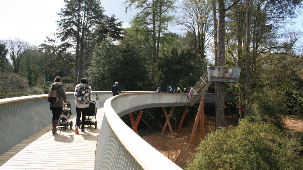Westonbirt Arboretum Treetop Walkway Attracts Hundreds In Its First Two Hours Bbc News 4833