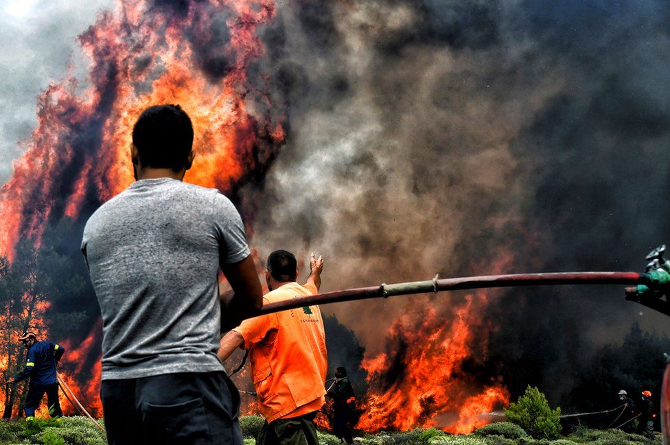 Bomberos y voluntarios intentan extinguir las llamas de un incendio en la aldea griega de Kineta, cerca de Atenas, 24 de julio de 2018