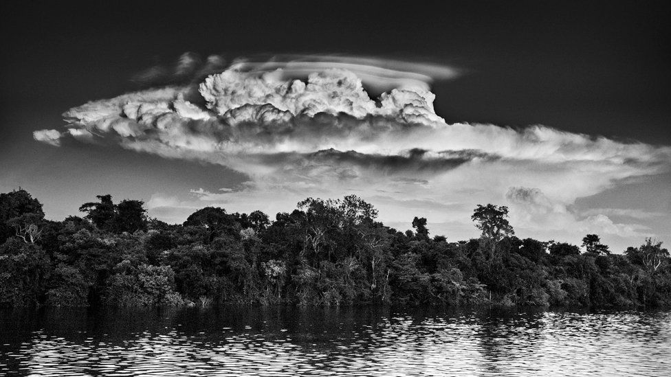 Black and white photograph of a cloud above trees and water