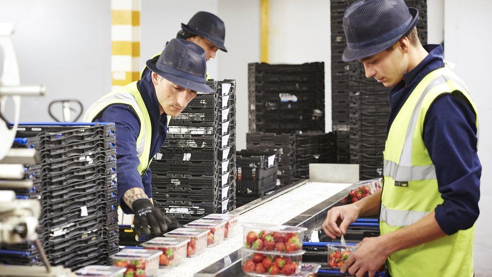 Food supply chain workers