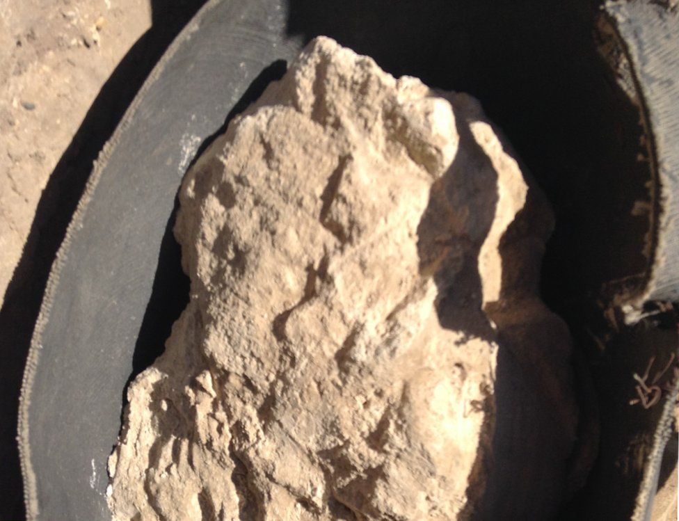 A white substance believed to be 3,200-year-old cheese