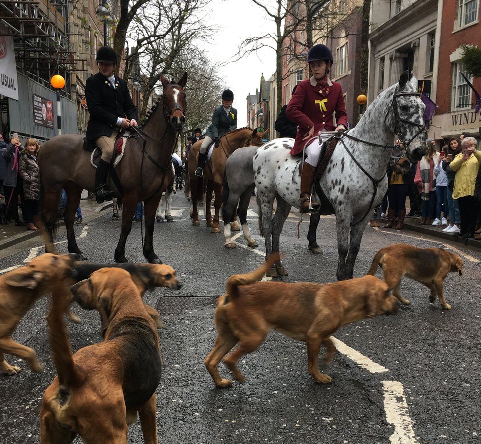 Horseriders and hounds