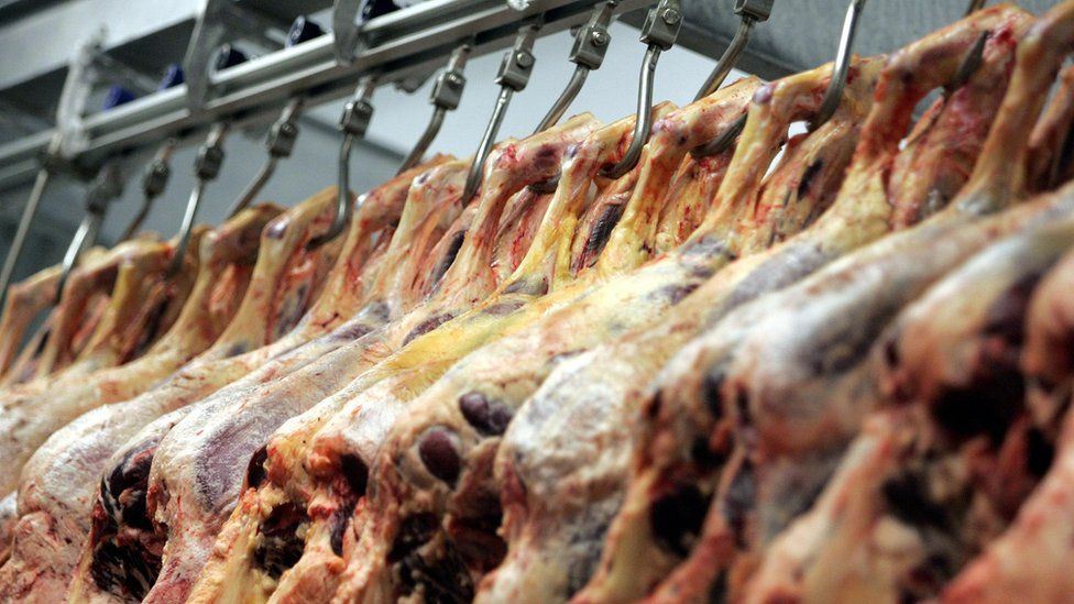 Meat hang on hooks in an abattoir