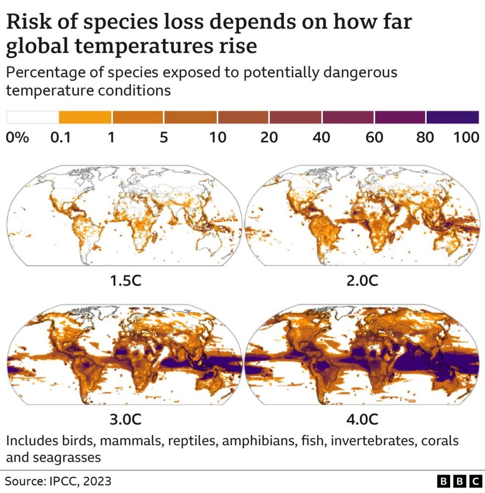 What Is Climate Change A Really Simple Guide