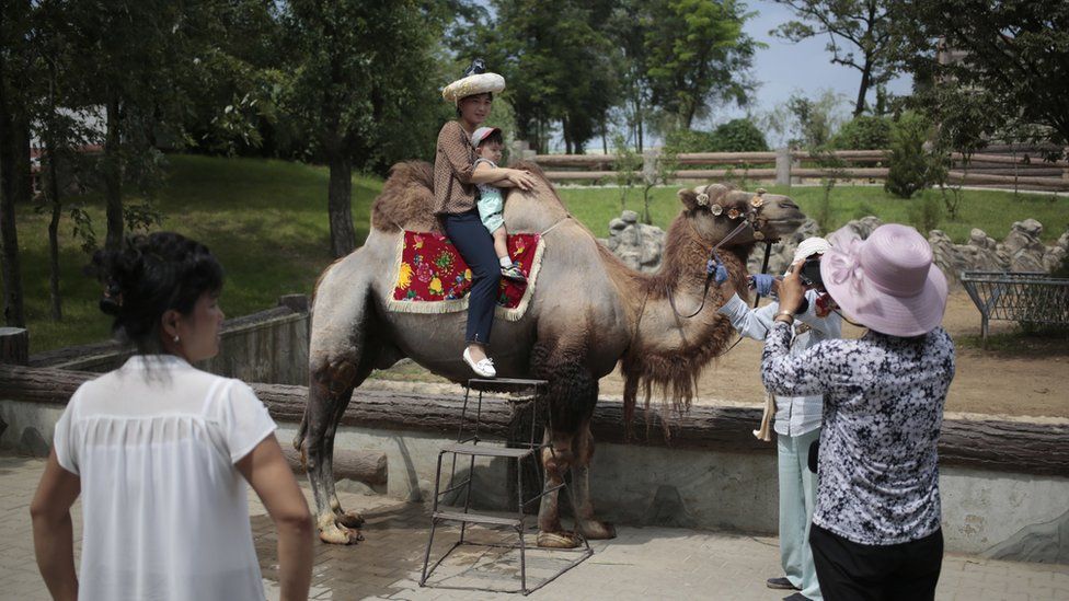 A North Korean and her son pose for a photo on the back of a camel at the newly opened Central Zoo in Pyongyang, North Korea, Tuesday, Aug. 23, 2016.