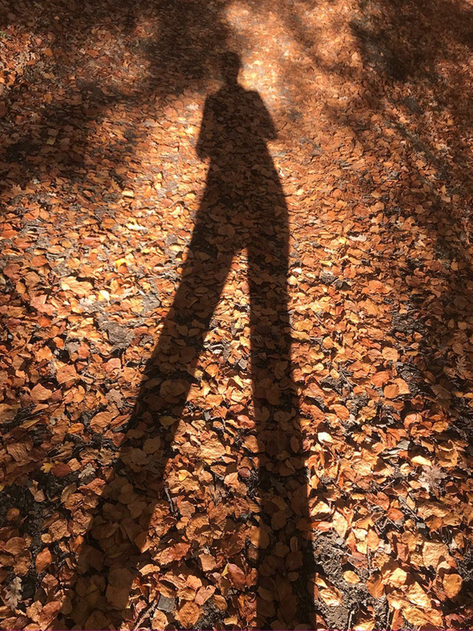 A shadow
