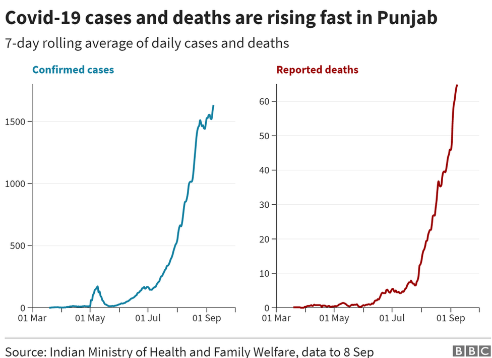 A chart showing daily increase in cases and deaths in Punjab.